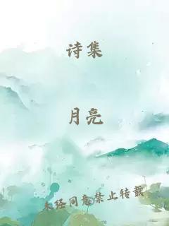 诗集