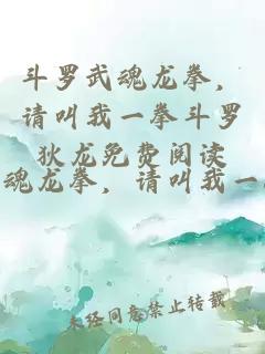 斗罗武魂龙拳，请叫我一拳斗罗狄龙免费阅读